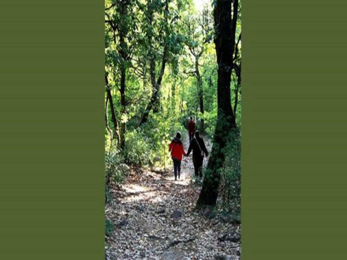 Jungle Lore Birding Lodge Nainital Luaran gambar