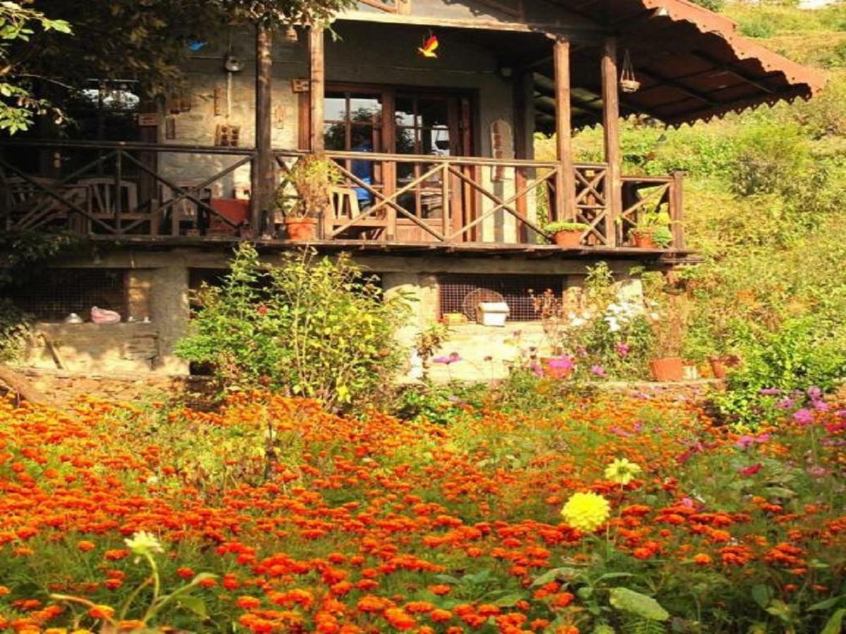 Jungle Lore Birding Lodge Nainital Luaran gambar